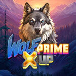 Wolf Prime X UP