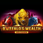 Buffalo's Wealth Hold & Win