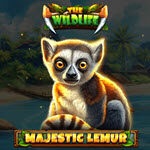 Majestic Lemur