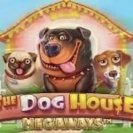 Ненависть к слоту The Dog House!