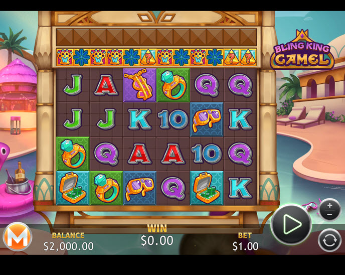 Bling King Camel
