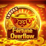 Fortune Overflow
