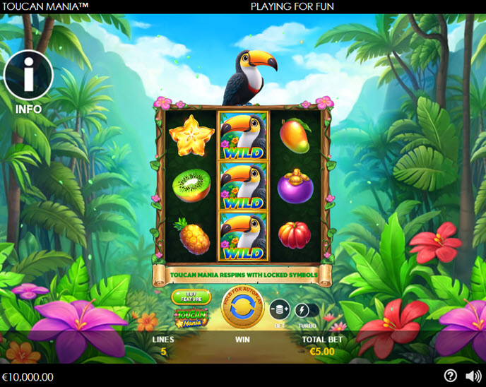 Toucan Mania