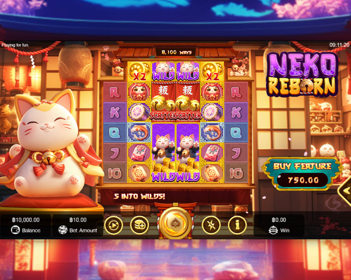 Neko Reborn