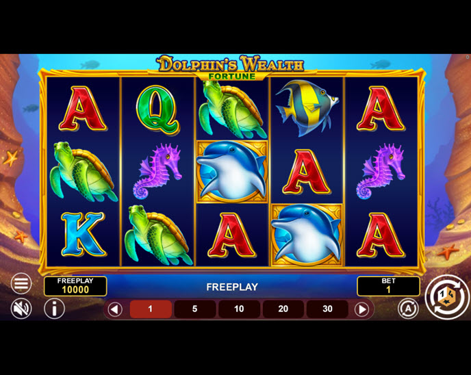 Dolphin’s Wealth Fortune