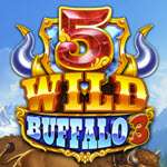 5 Wild Buffalo 3