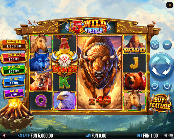 5 Wild Buffalo 3