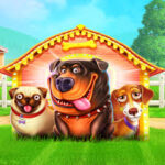 The Dog House Megaways вообще не обижают