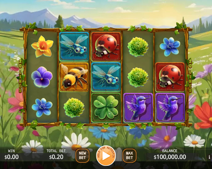 Butterfly Wild Dance