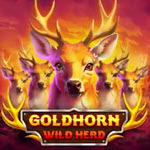 Goldhorn Wild Herd