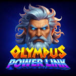 Olympus Power Link