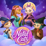 Natal Cats
