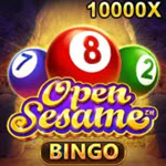 Open Sesame Bingo