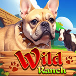 Wild Ranch (KA Gaming)