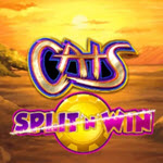 Cats Split 'n' Win