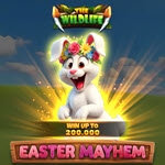 Easter Mayhem
