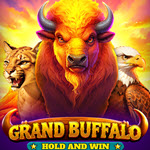 Grand Buffalo Hold and Win