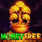 Money Tree (Popok)