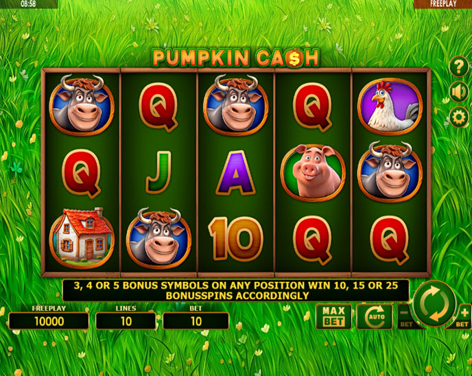 Pumpkin Cash