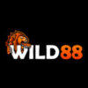 Wild88 Casino