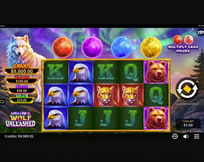 Area Link Wolf Unleashed