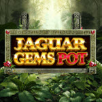 Jaguar Gems Pot
