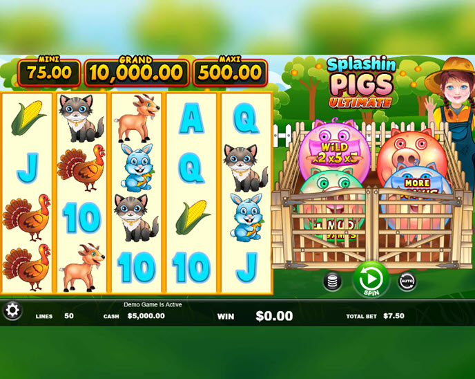 Splashin Pigs Ultimate