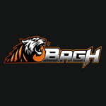 Bagh Casino