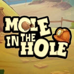 Mole in the Hole