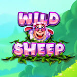Wild Sheep
