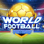 World Football Fortunes