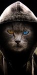 avatar-13658