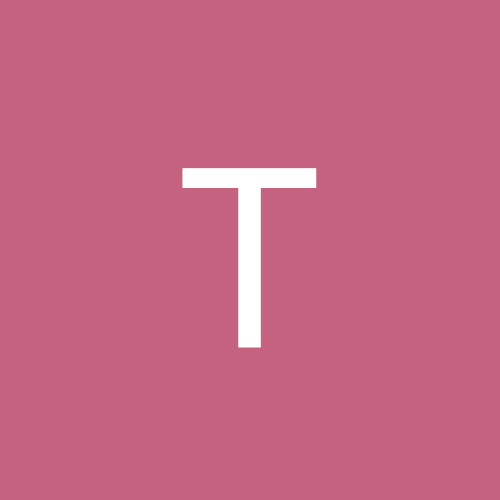 TUTI31
