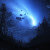 avatar-31493