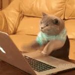 avatar-52686