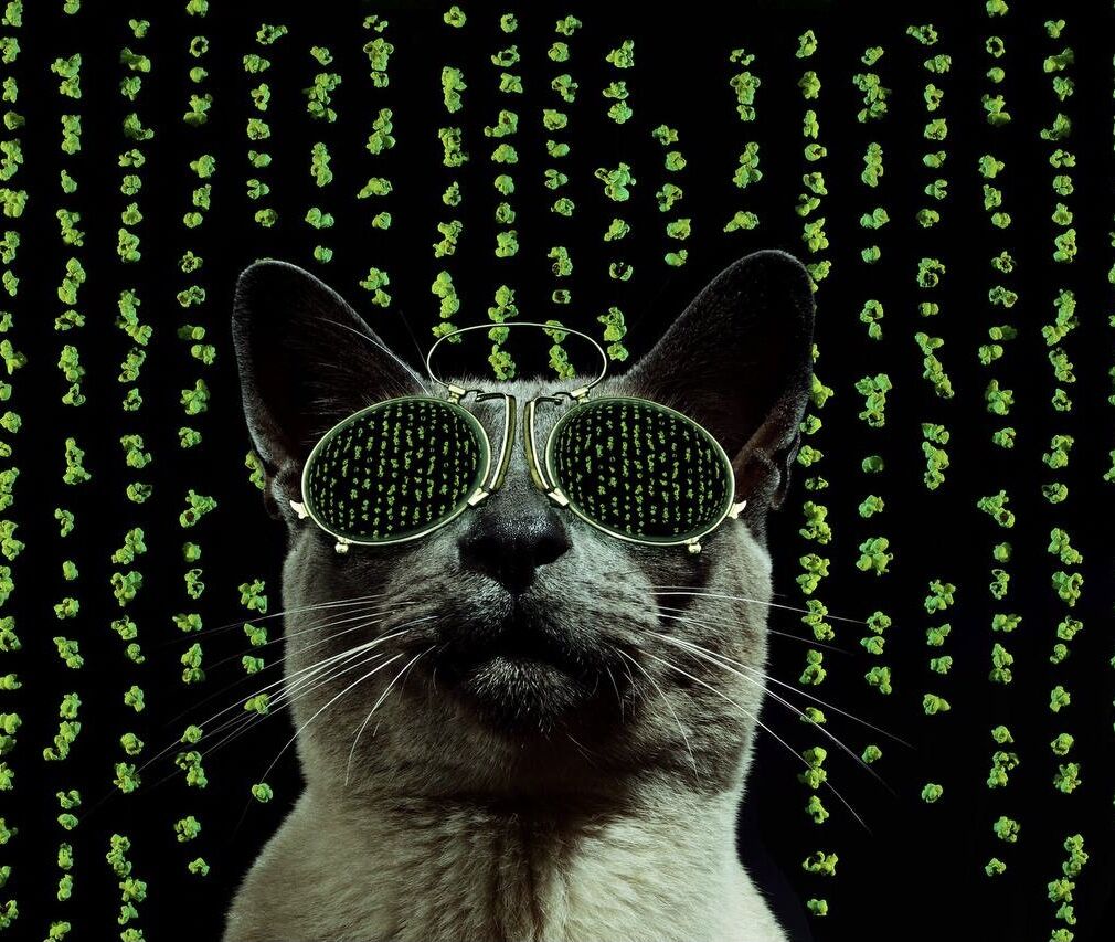 avatar-54468