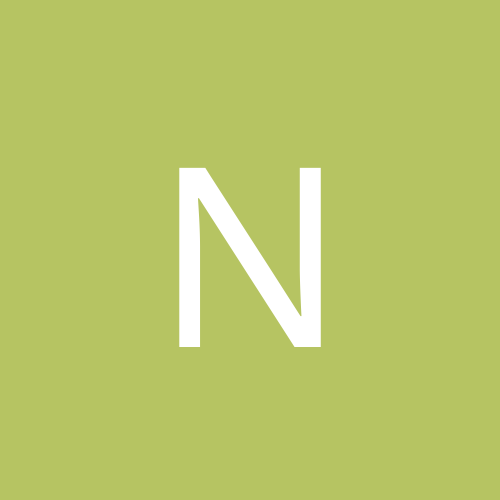 NeZnaika1