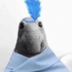 avatar-69349