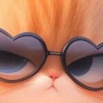 EleChalk