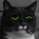 avatar-77433