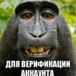 Ty4kA