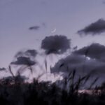 avatar-78353