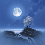 Moonlit
