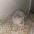 Vasin_vasya
