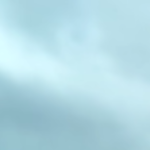 Max8555